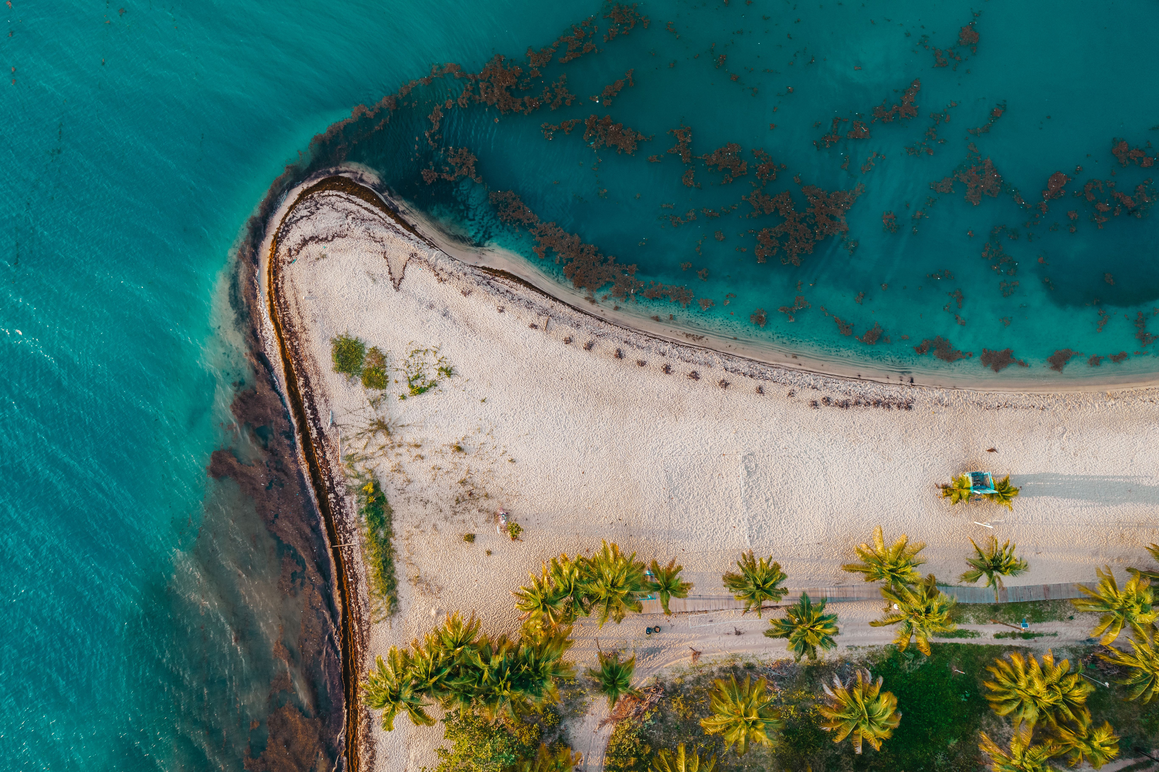 Placencia beach belize