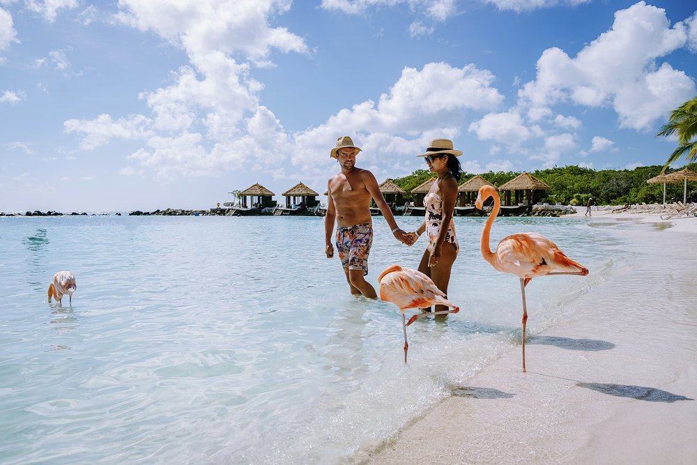 Sensational beaches, great restaurants and wonderful wildlife, Aruba has it all
