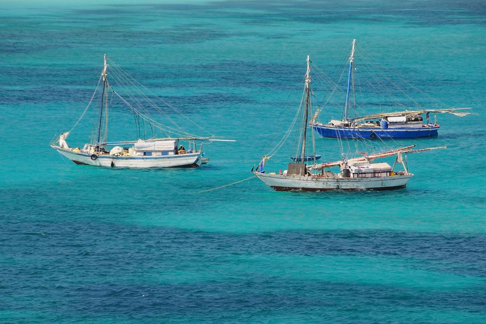 Deep sea fishermen typically populate the waters of the Abaco sea. You might get the chance to see them at work
