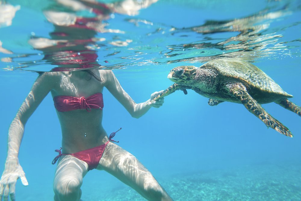 You may be lucky enough to meet some of the locals