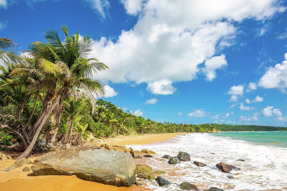 Enchanting indeed! Motor across to Culebra Island and drop anchor in Flamenco Bay to enjoy its stunning beach