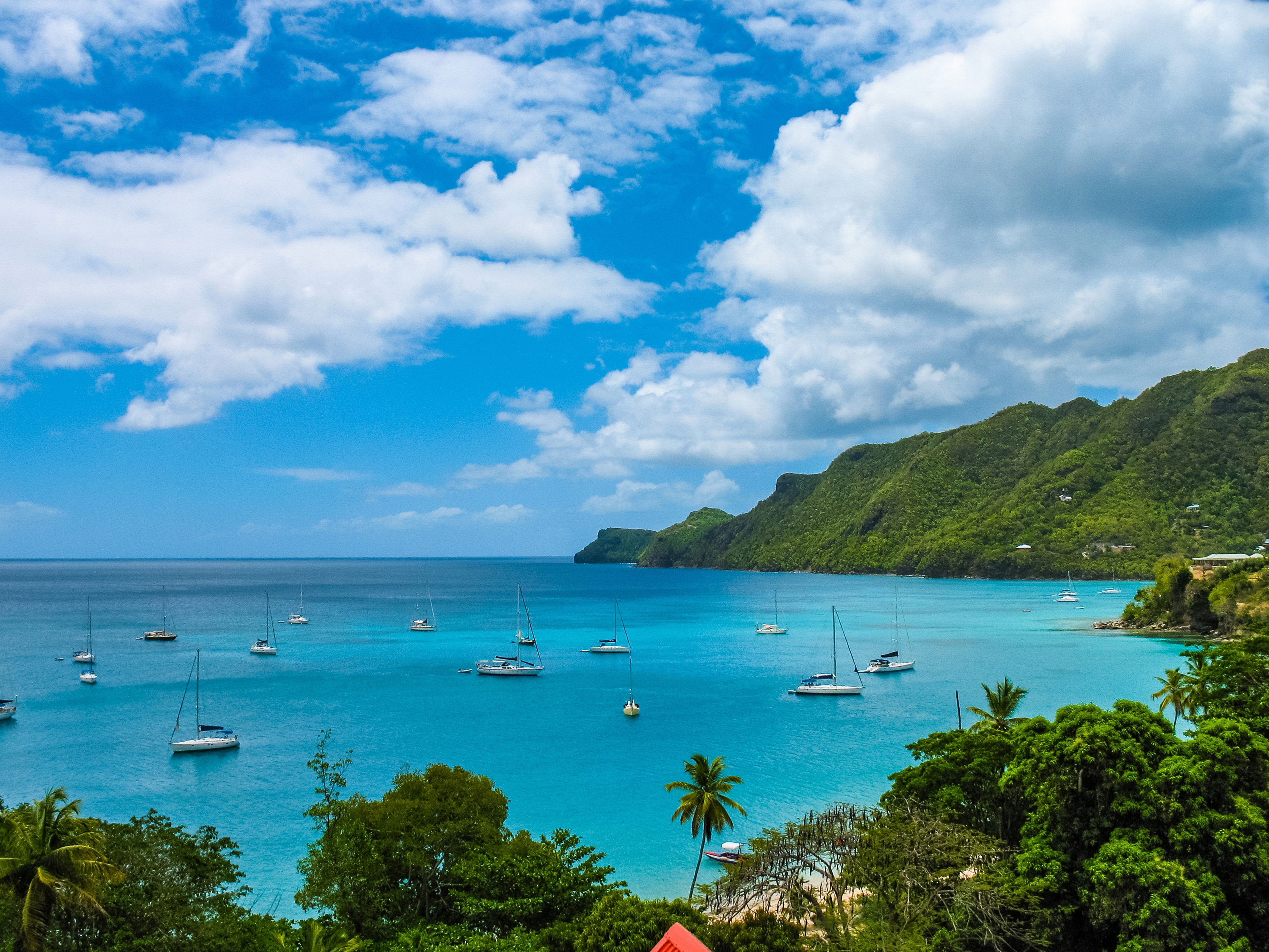 Burgess Windward Islands charter