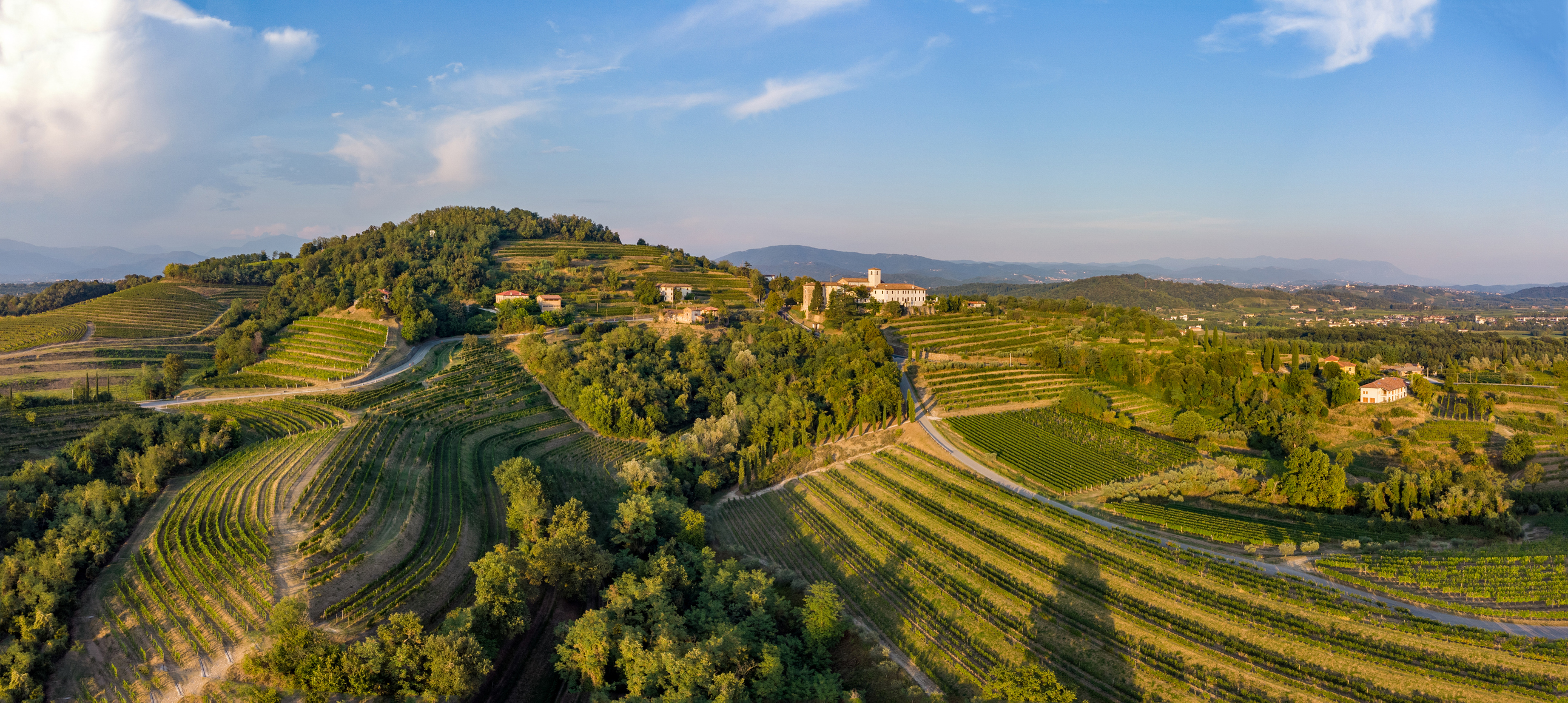 vineyard Italy Franciacorta