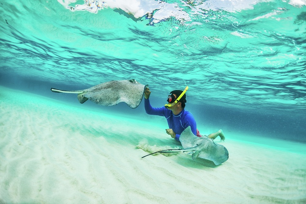 See the marine life in its natural habitat, and rediscover your love of the ocean