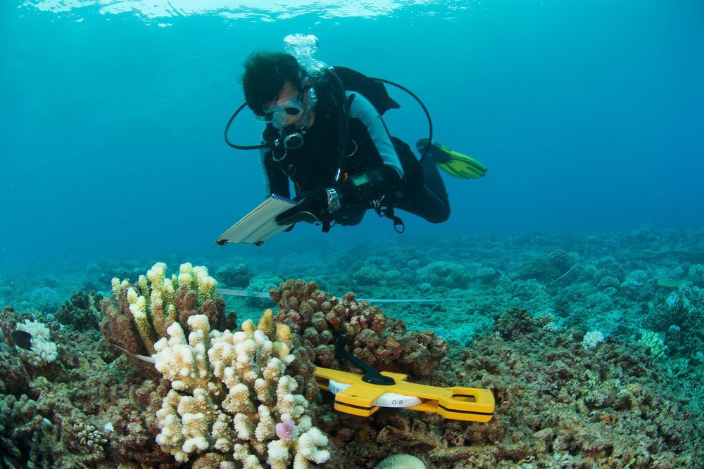 With every Burgess charter you contribute to research that protects our oceans