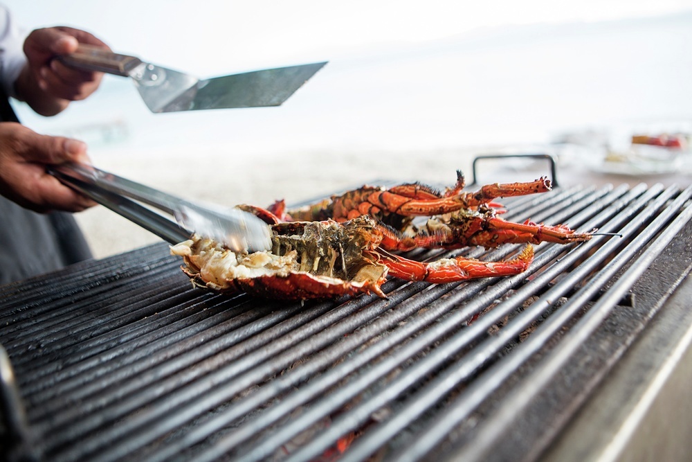 Lobster