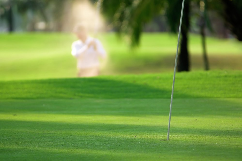 There are plenty of attractions in Palm Harbor, including the golf