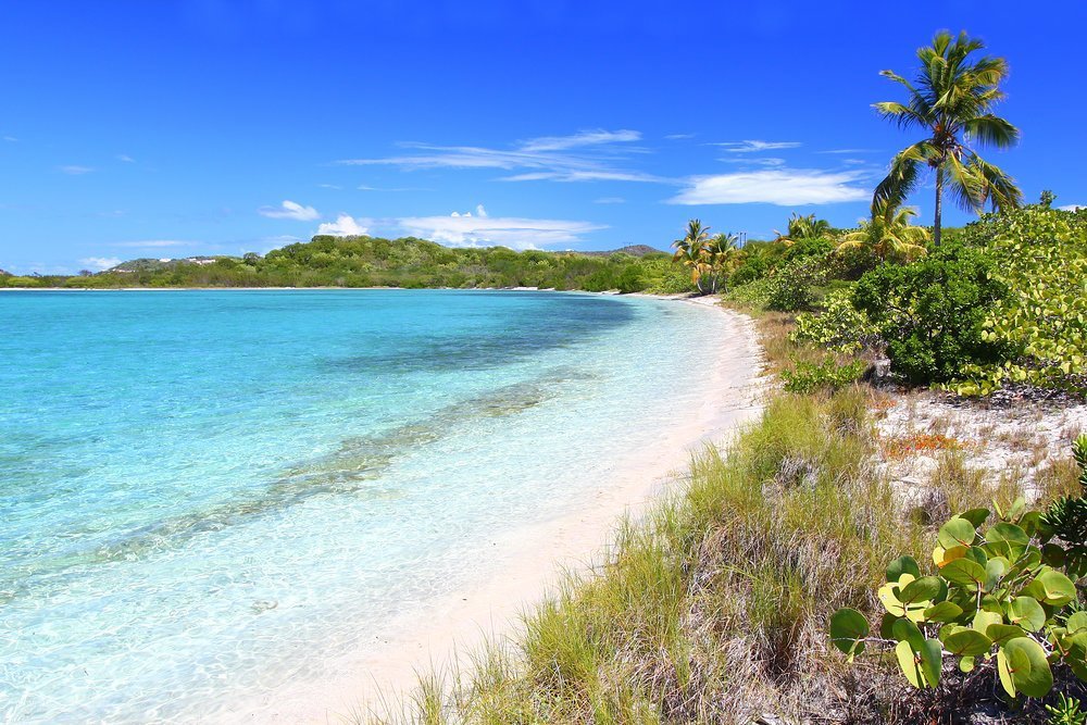 Explore ashore where there are adventures galore