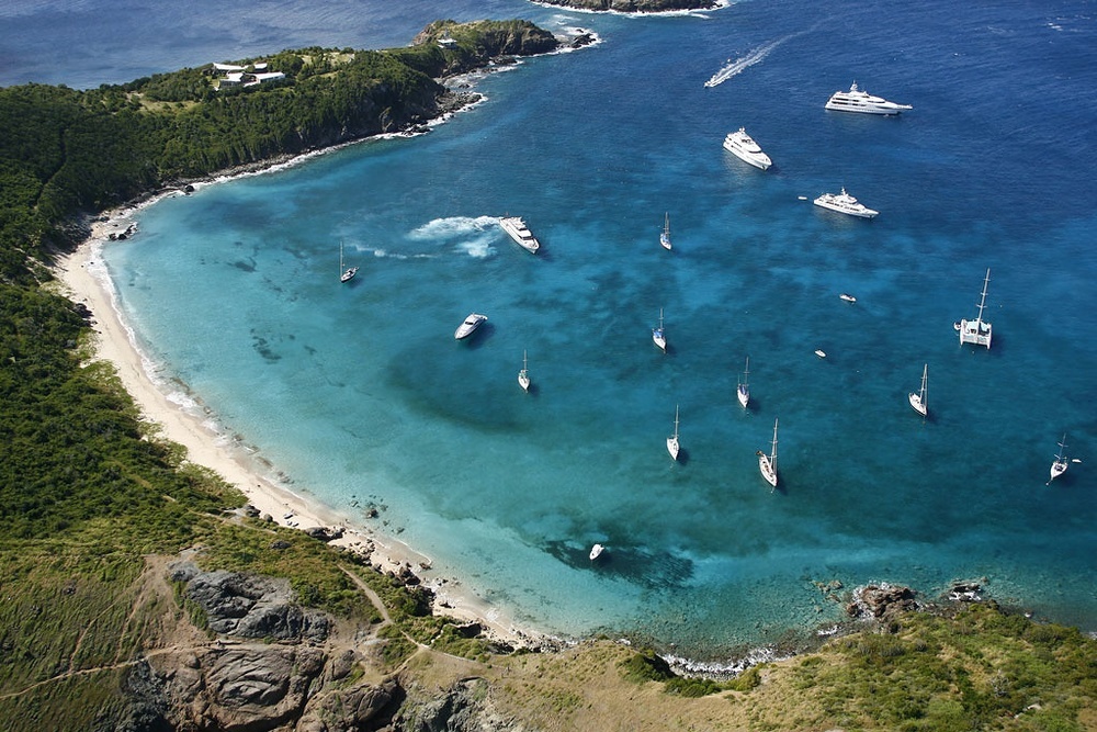 Snorkel with turtle, reef sharks an eagle rays in Anse Colombier