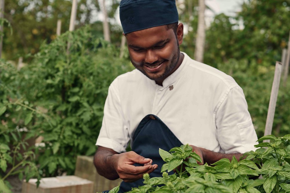 Organic produce is grown in the island's garden
