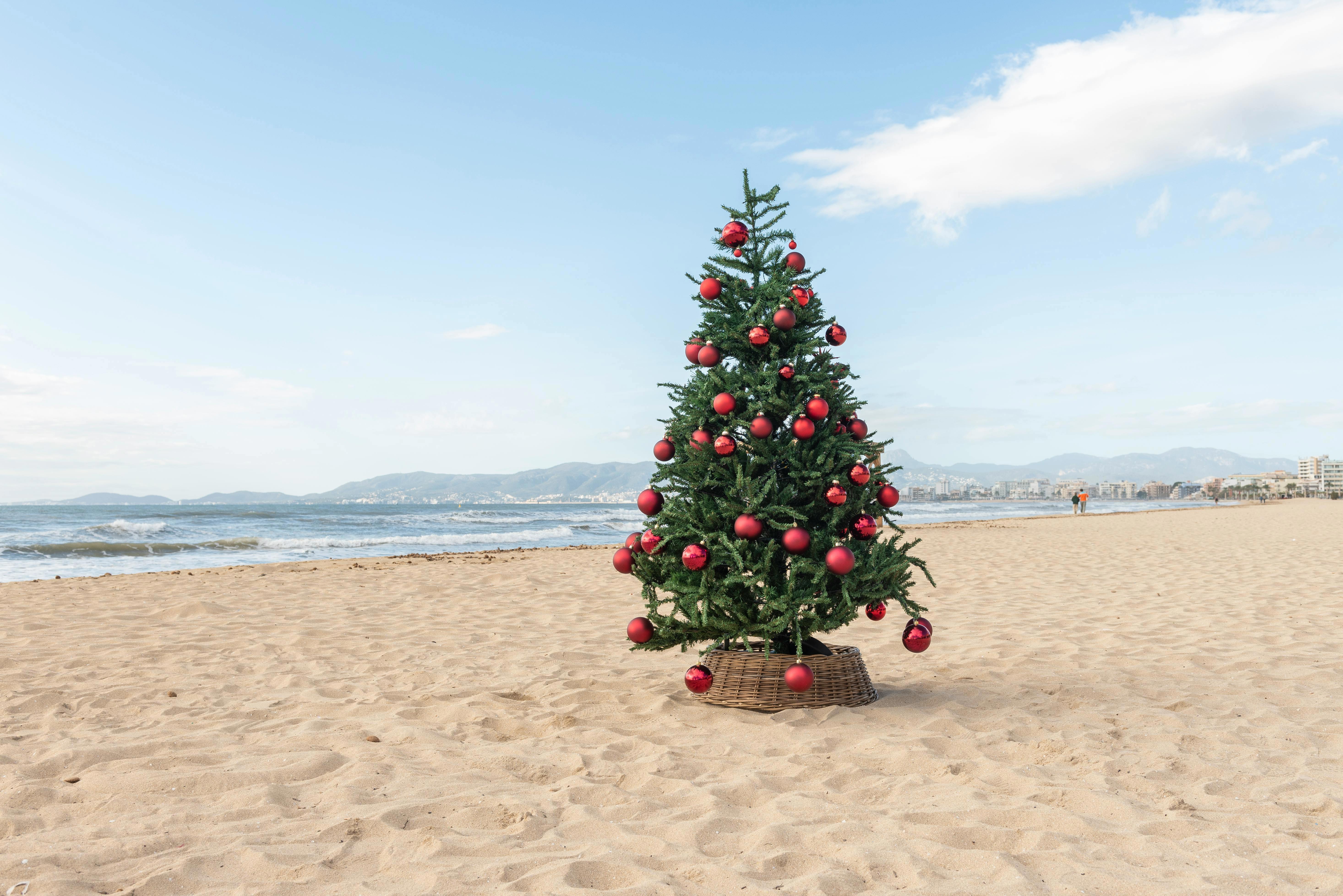 Christmas tree on a beach