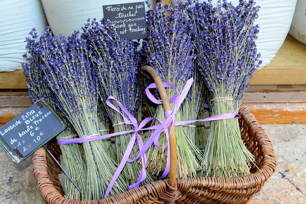 Immerse yourself in the scents and sights of the bustling markets in very port