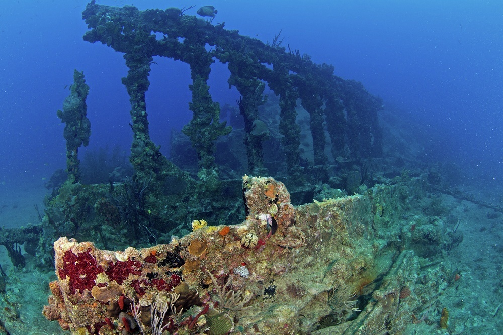 RMS Rhone sits on the sea bed, where she sank in 1867