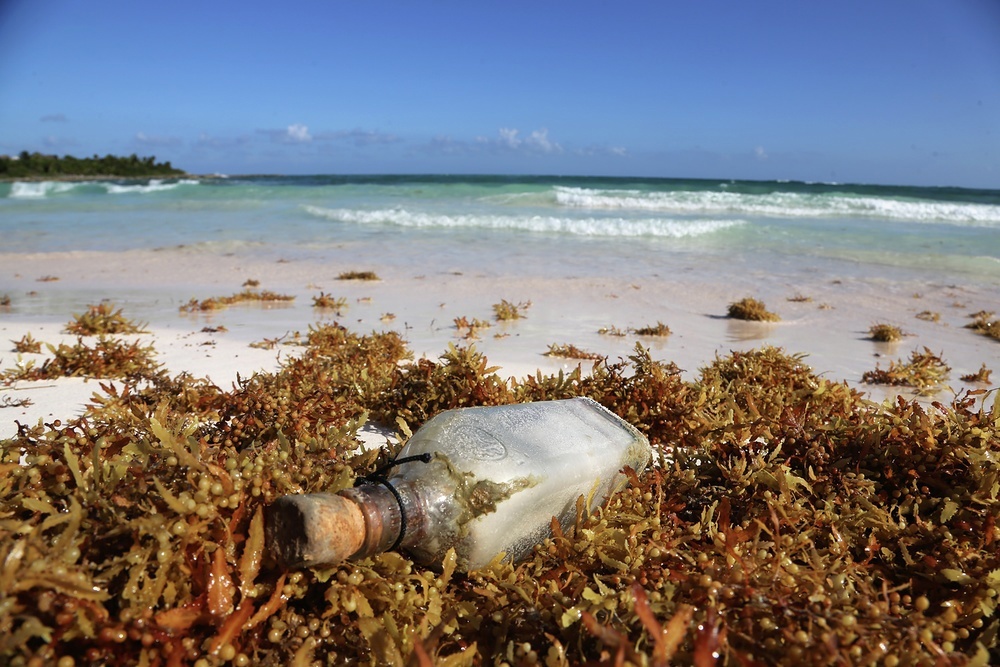 Blackbeard's crew died trying to swim across the bay