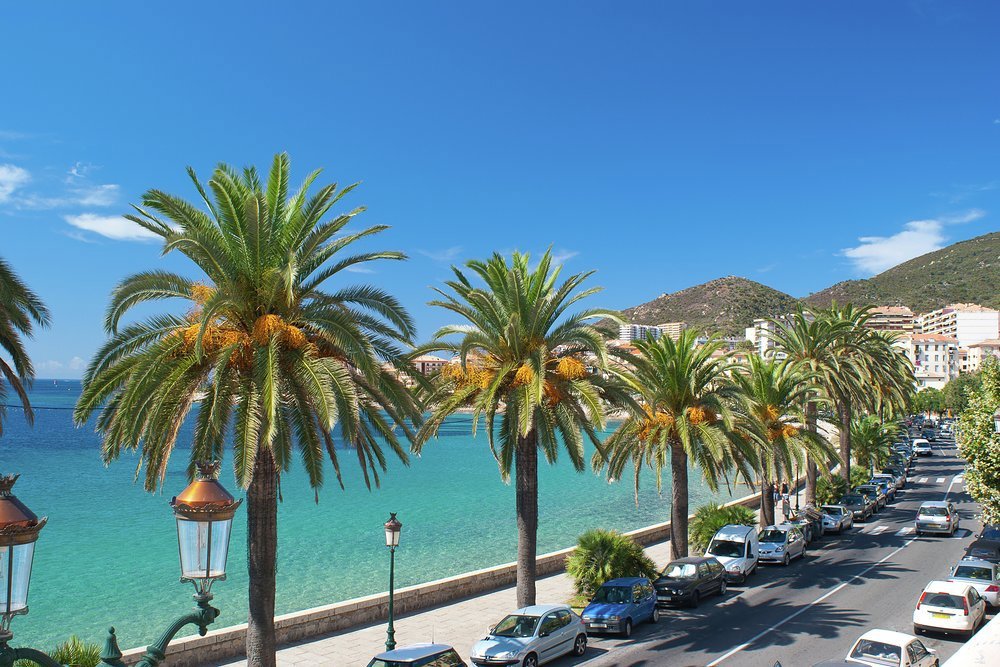 Palms and promenades overlooking the Gulf of Ajaccio