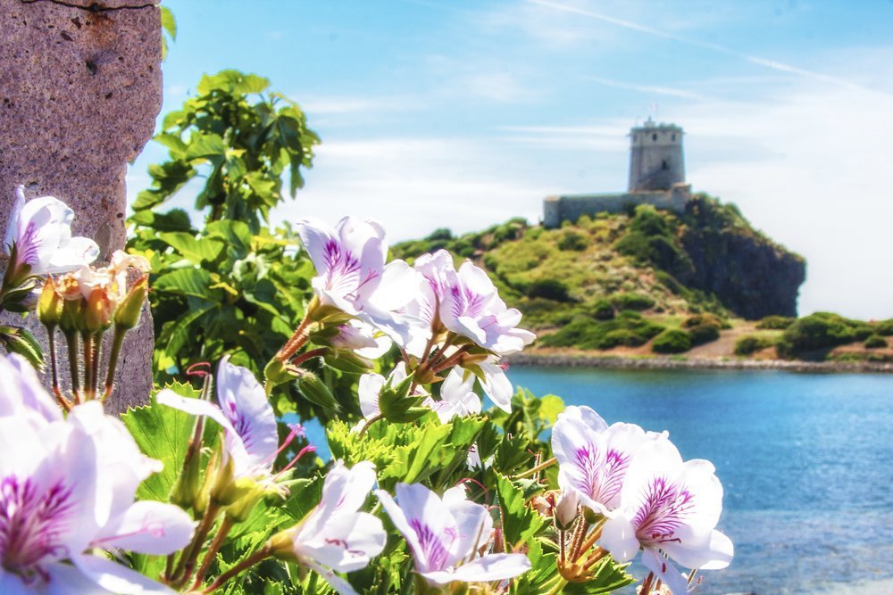 One of the Genovese towers that pepper the Corsican coast