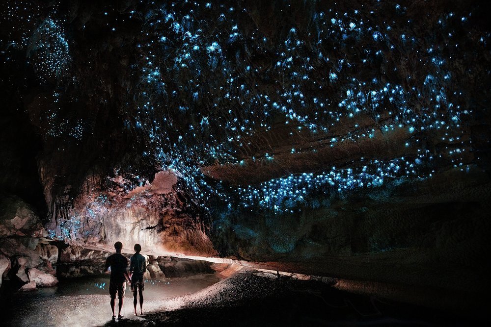 There are magical natural scenes everywhere, like these glow worms illuminating Waipu Caves, just inland from the northern end of the Bay of Islands