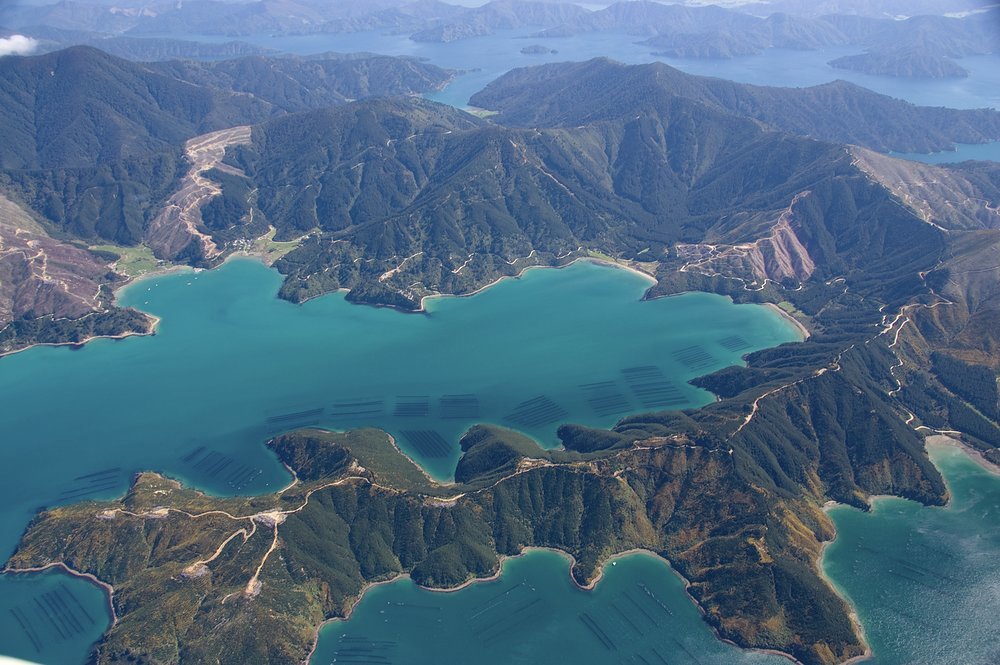 South Islands' Marlborough Sounds are home to prestigious vineyards and mussel farms