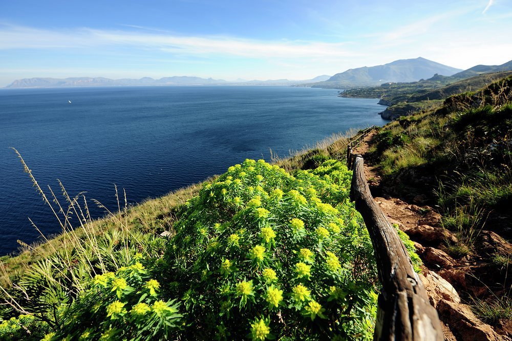 Vineyards in the Lo Zingaro Nature Reserve