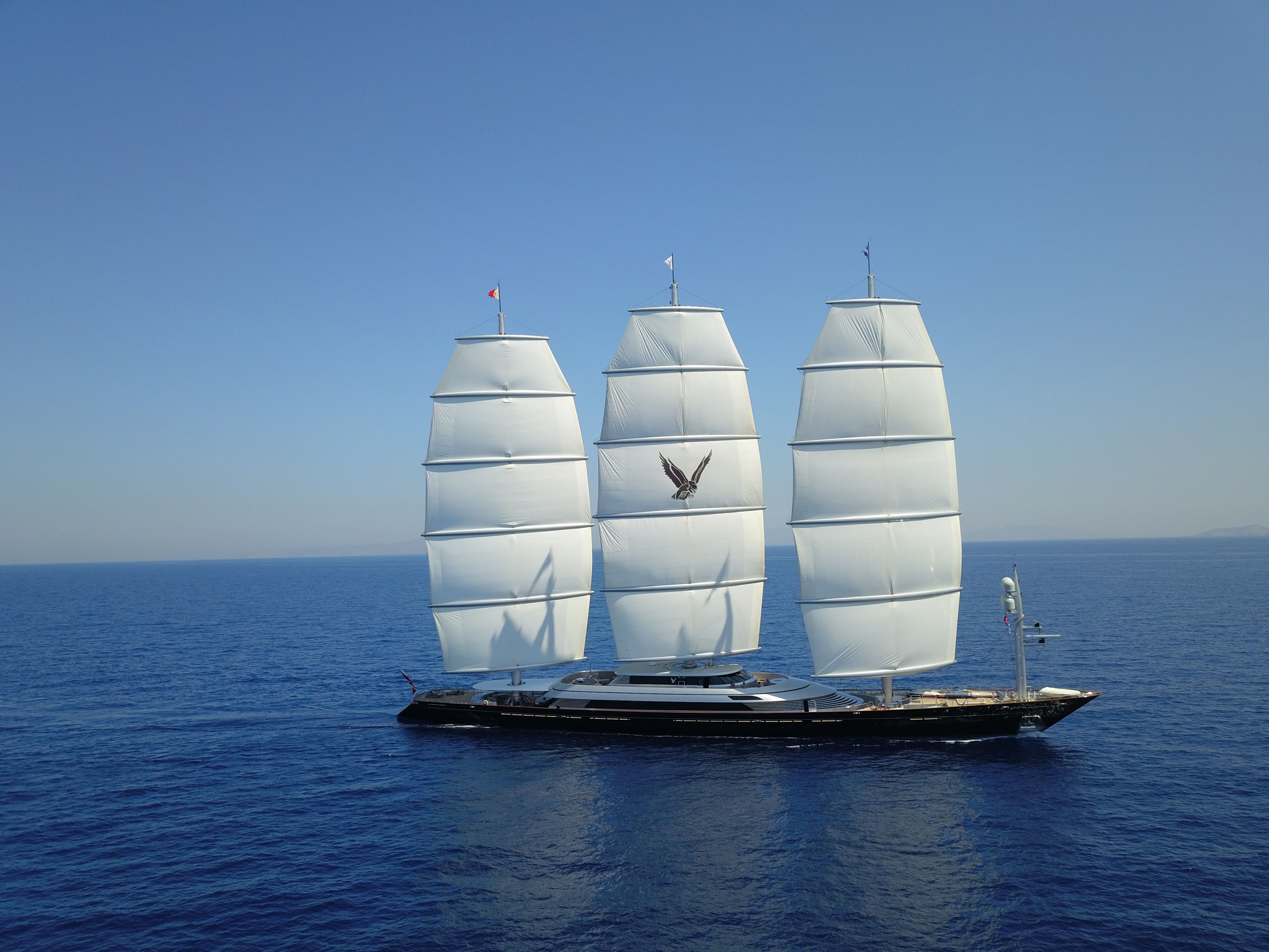 MALTESE FALCON