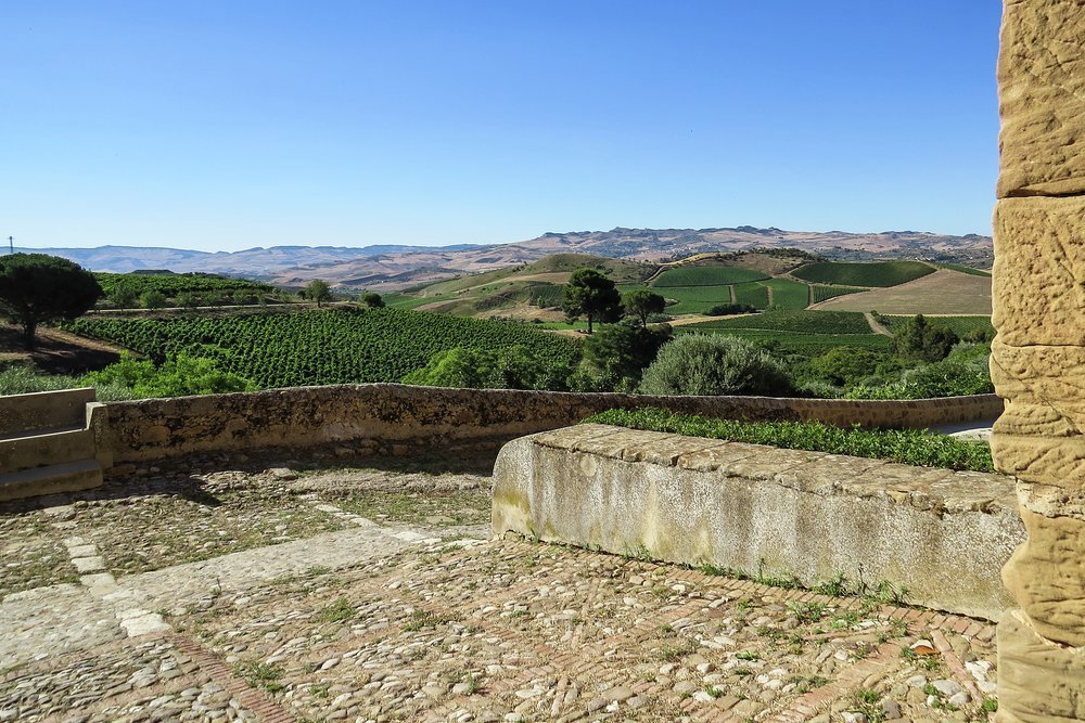 Vineyards on Tasca d'Almerita's Regaleali estate