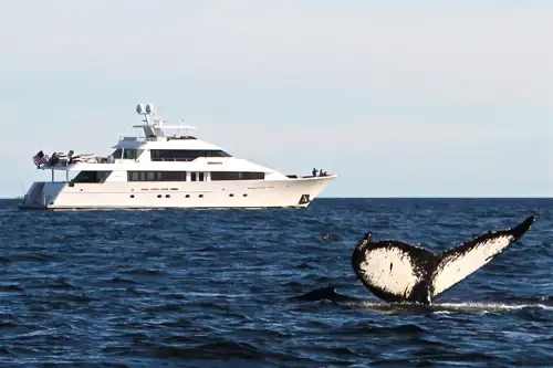 At anchor
